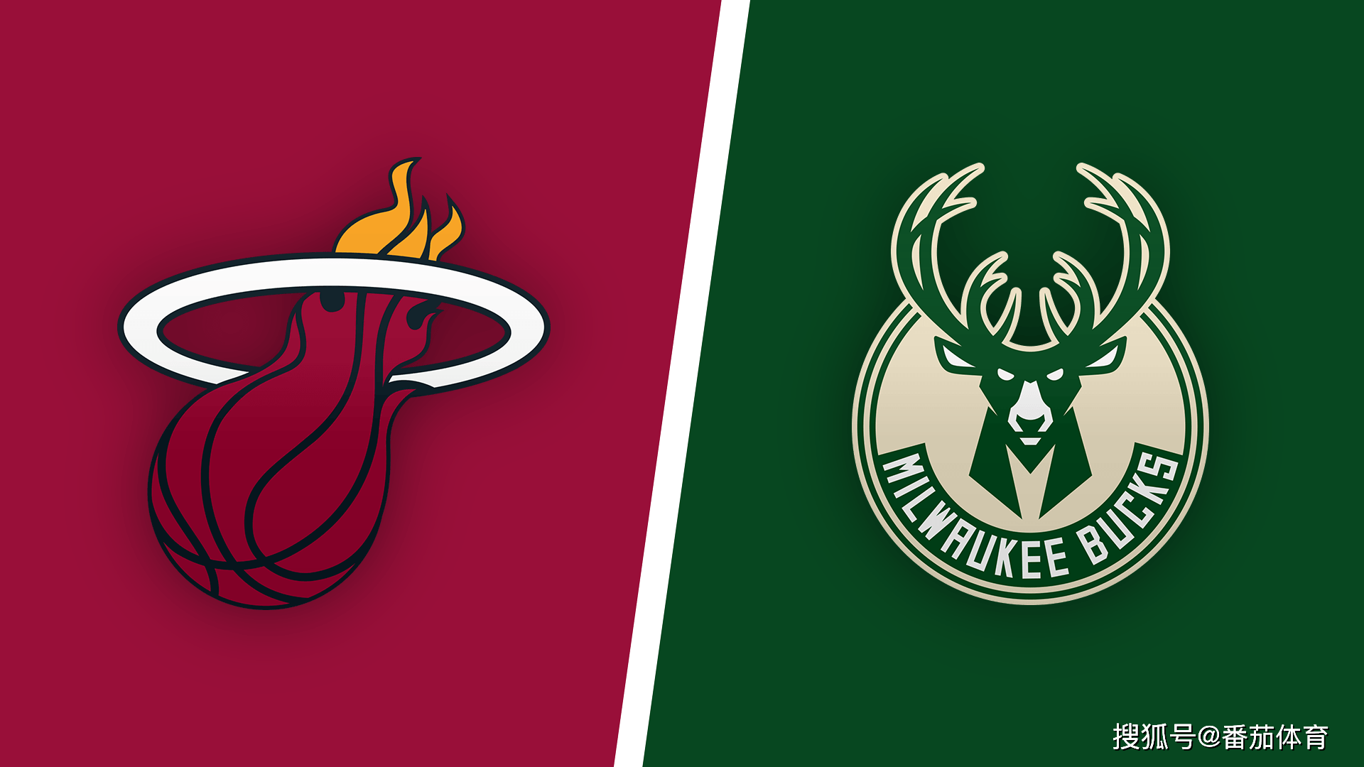 选择我们的五大优势